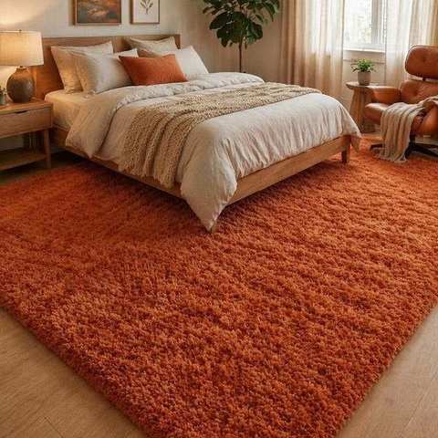 Warm burnt orange textured shag rug