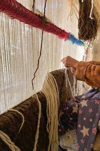 Warping the Loom